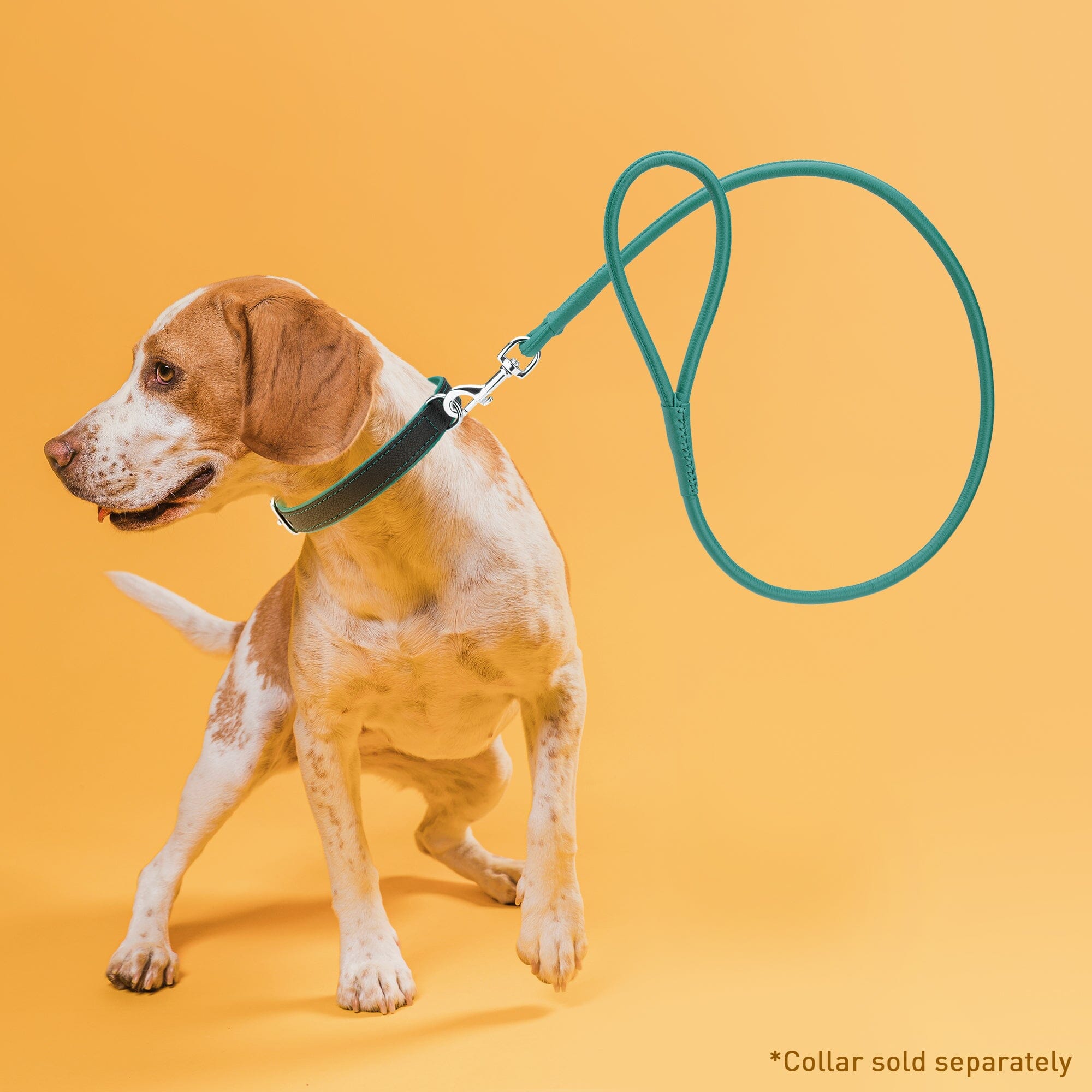 Soft Leather Round Dog Lead by Dogline