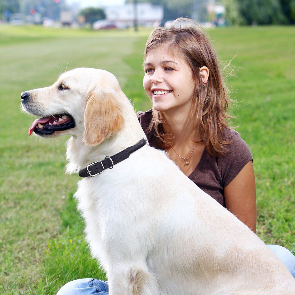 Soft Leather Round Dog Collar by Dogline
