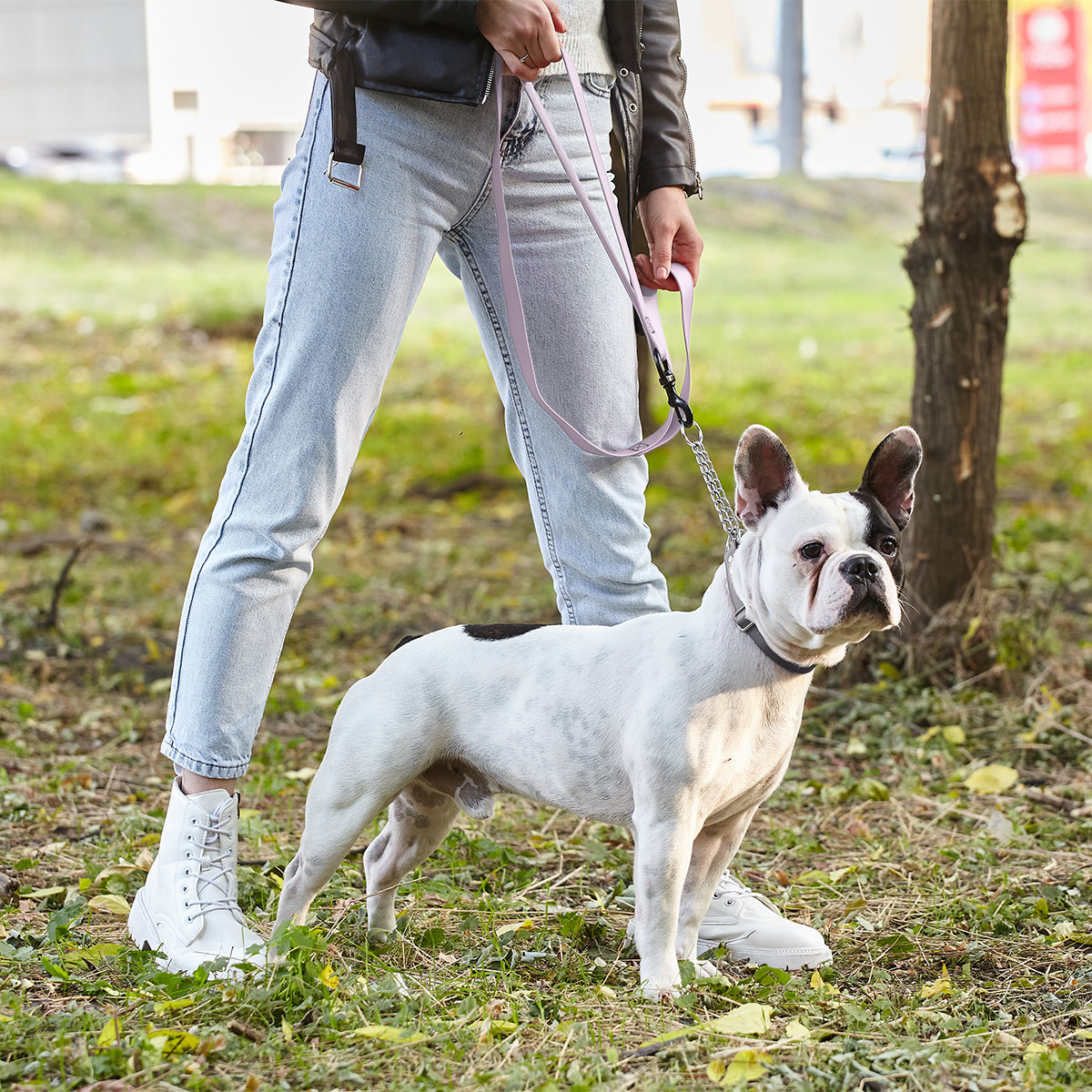 Biothane Waterproof Multi-Handle Dog Leash by Dogline