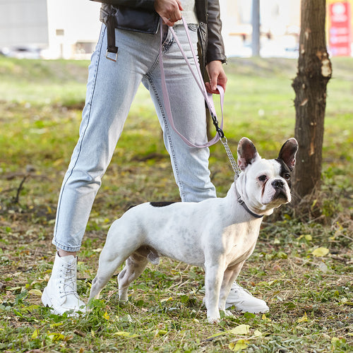 Biothane Waterproof Multi-Handle Dog Leash by Dogline