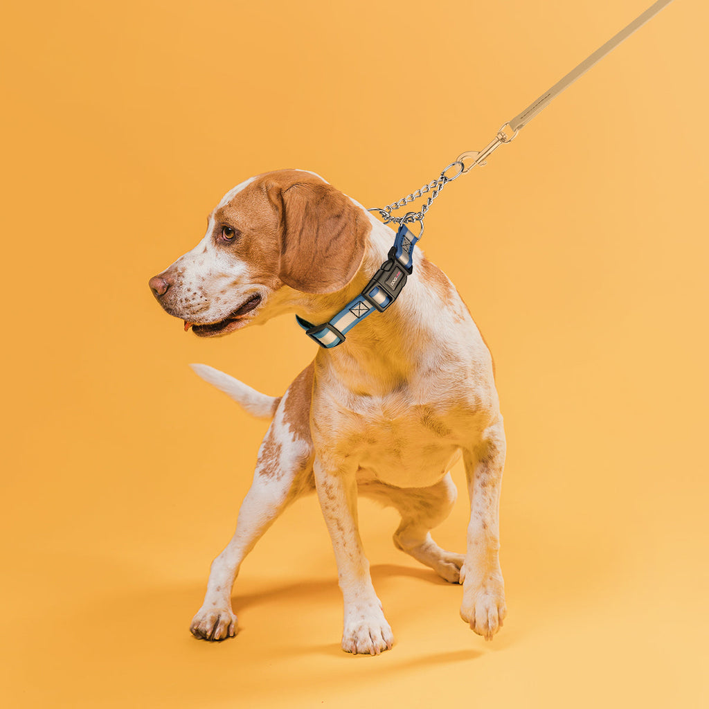 Reflective Biothane Martingale Collar with Quick Release Buckle by Dogline