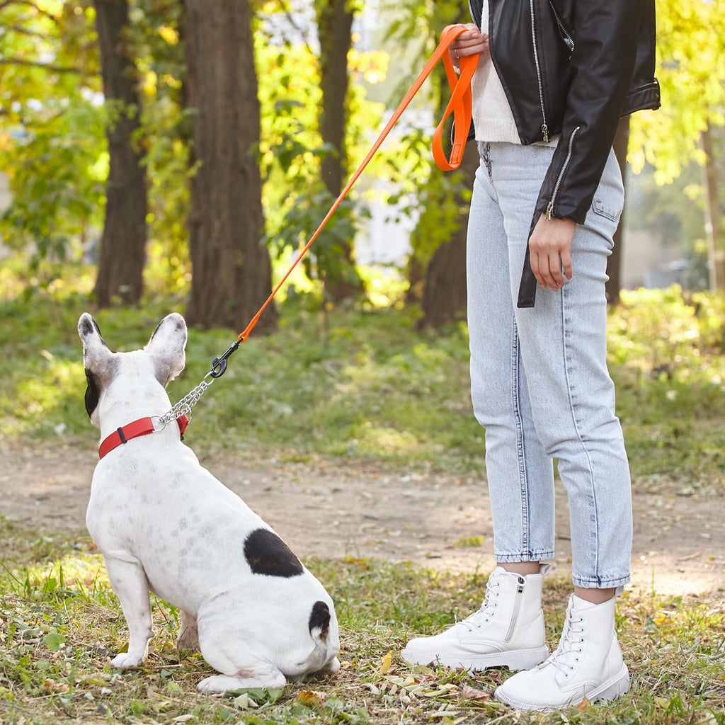 Biothane Waterproof Dog Leash, 4 ft by Dogline