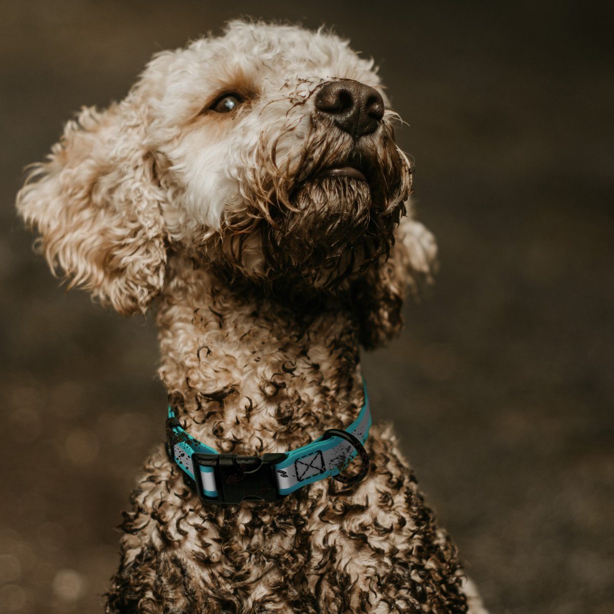 Dogline Biothane Reflective Dog Collar with Quick Release Buckle by Dogline