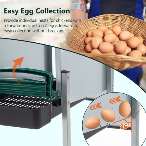 4-Hole Chicken Nest, With Legs And Cover To Protect Eggs by VetsPetStore