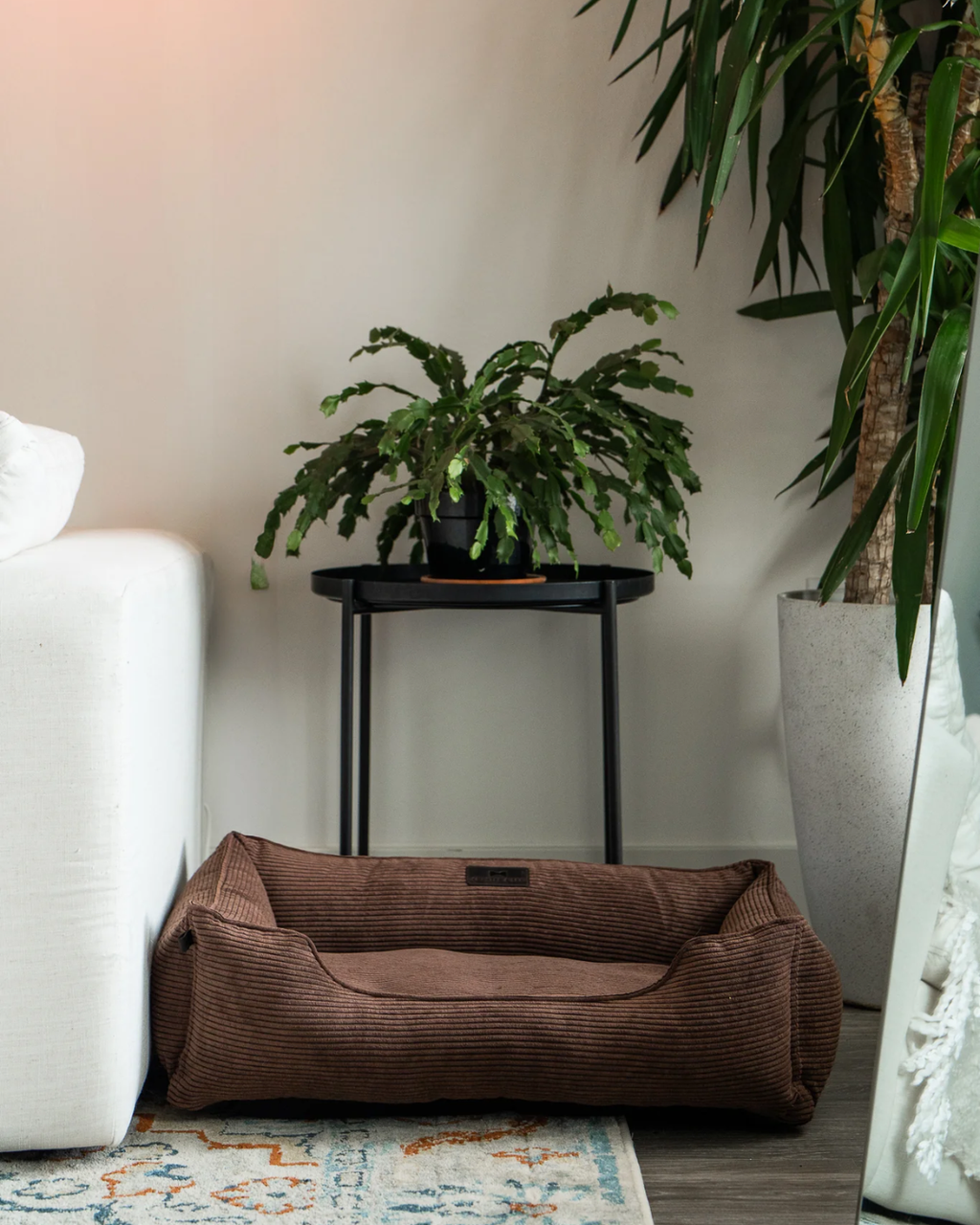 Chester & Lee | Milk Chocolate Sleeper Dog Bed by Chester & Lee