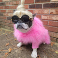 Haute Couture Feathered Luxury Pet Sweater by Furr Baby Gifts