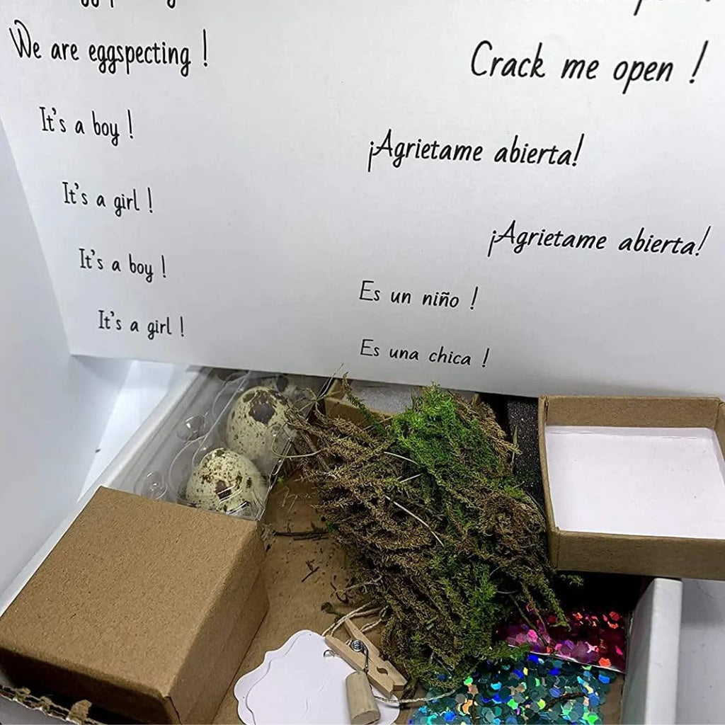 Gender Reveal Ideas: Quail Egg Pregnancy Announcement Kit for Family - Creative Baby Shower Activities & Memorable Baby's Gender Reveal comes with 3 Hollow Quail eggs, glitter, and a craft box by Quailz.com by Undique LLC