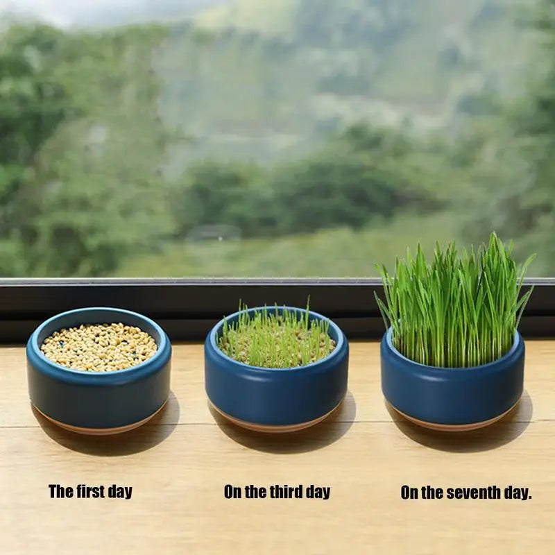 Hydroponic Box, Cat Grass Plant Bowl