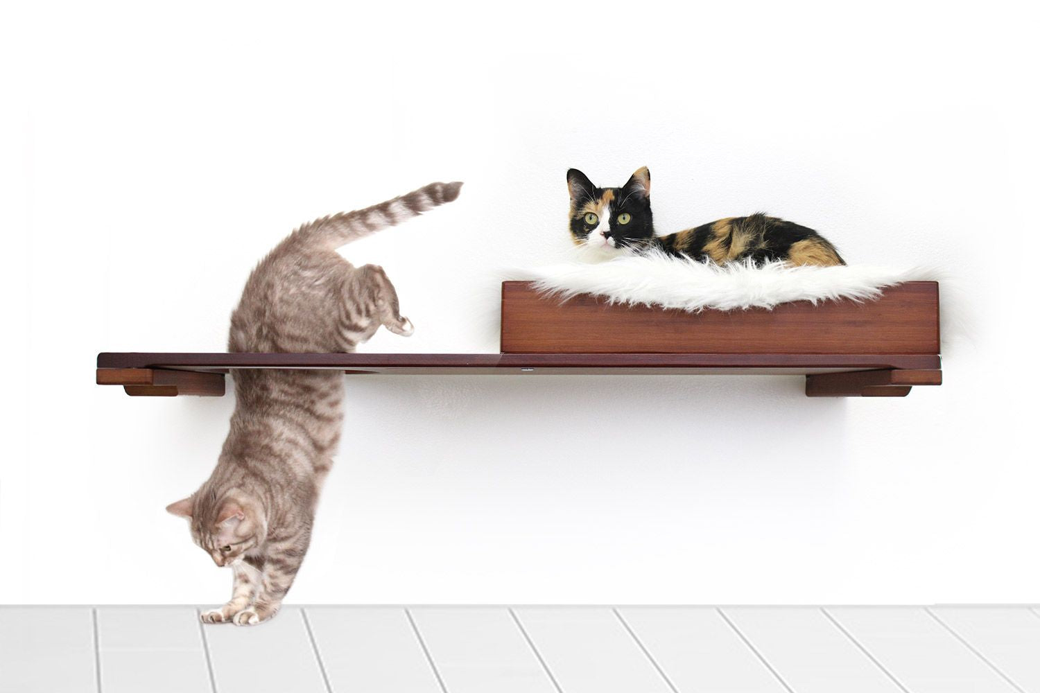 The Cat Nest Bed by Catastrophic Creations