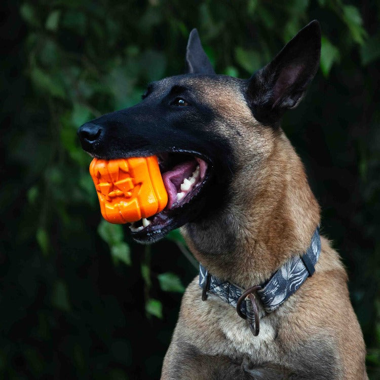 Jack O' Lantern Dog Toy - Durable Halloween Chew Toy for Large Dogs | USA Made by SodaPup/True Dogs, LLC