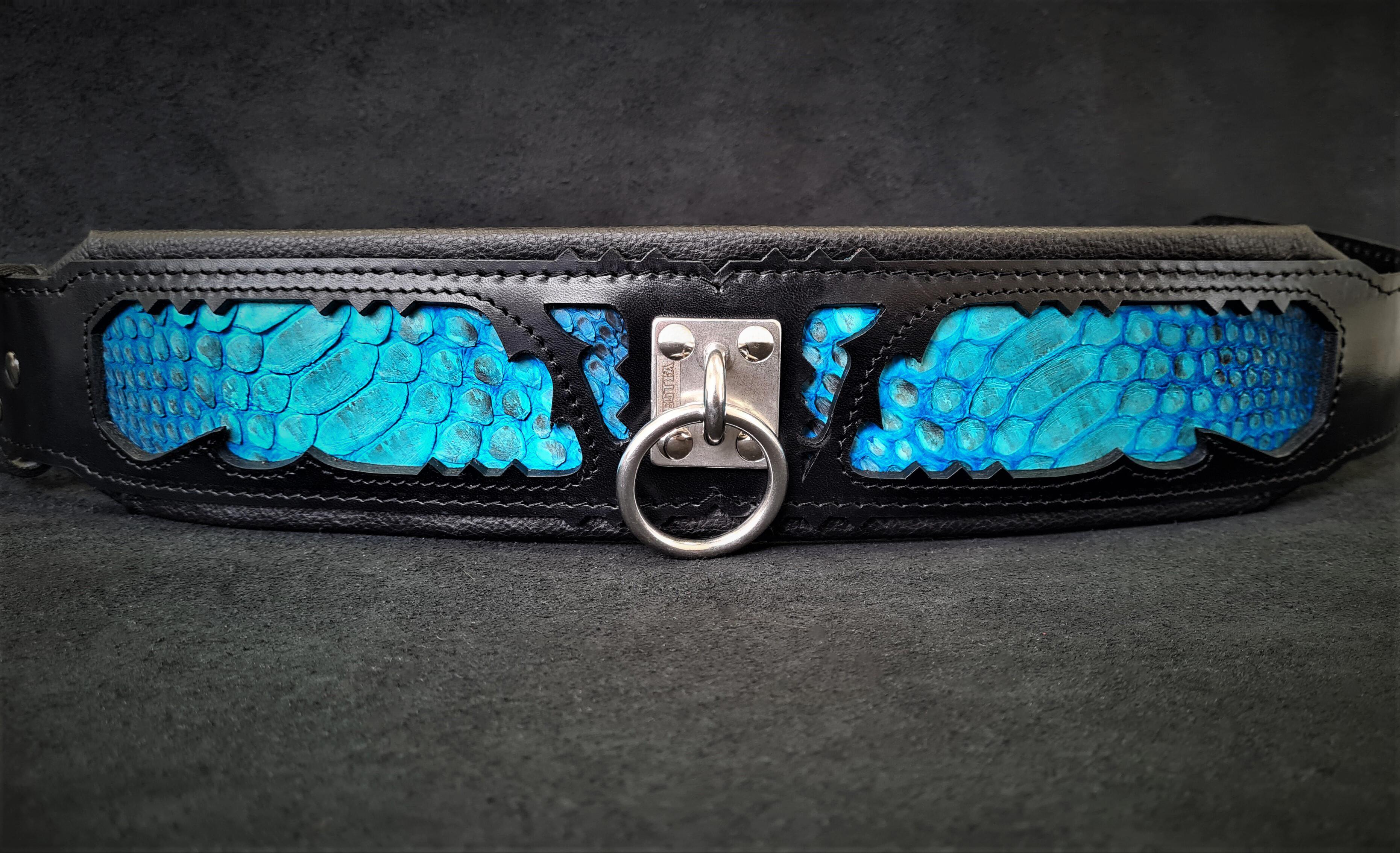 The ''Morelia Python'' collar by Bestia Dog Gear