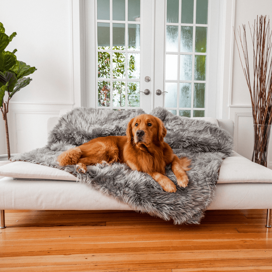 PupProtector™ Waterproof Throw Blanket - Charcoal Grey by Paw.com