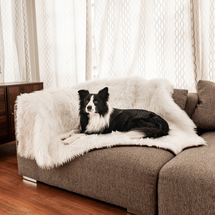 PupProtector™ Waterproof Throw Blanket - Polar White by Paw.com