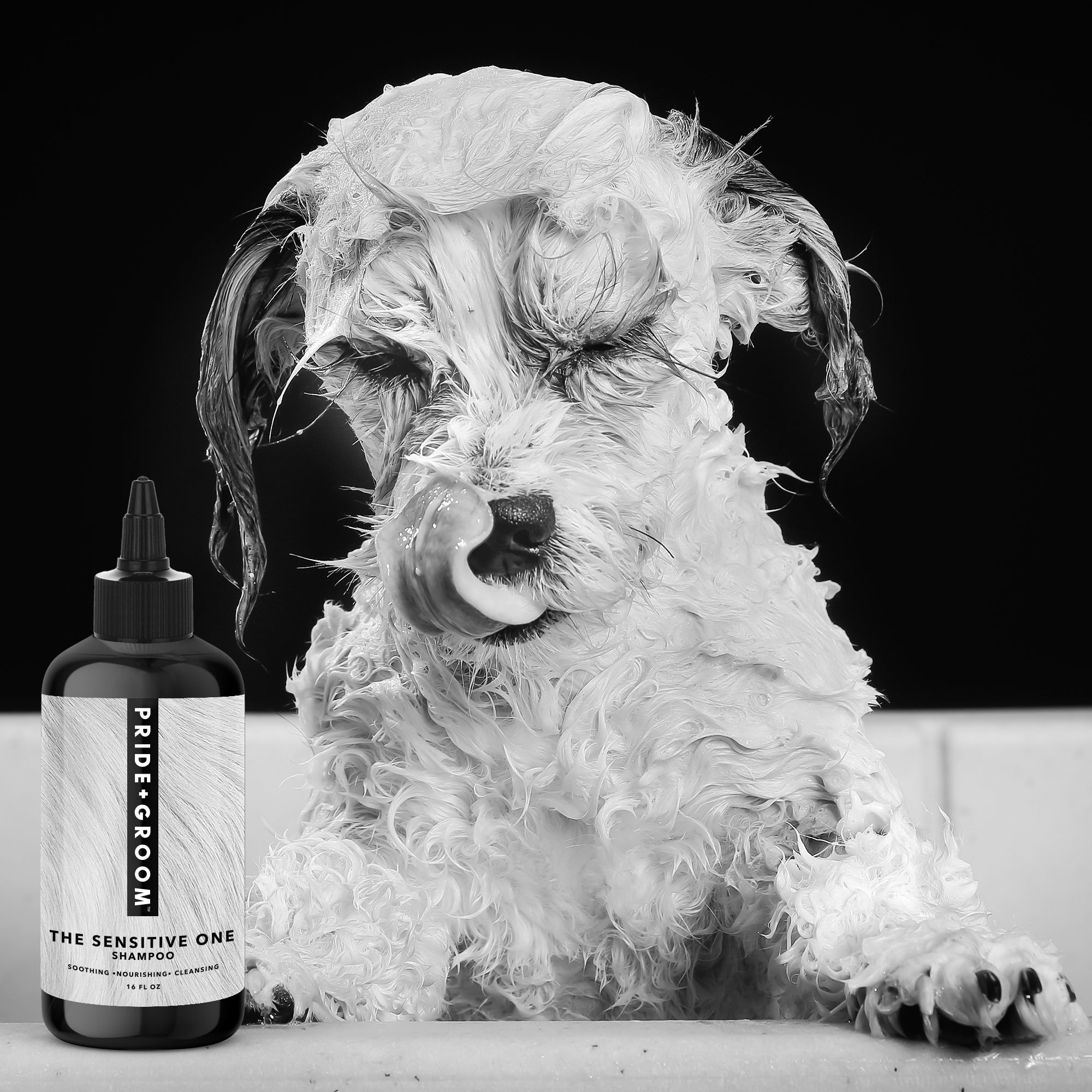 THE SENSITIVE ONE Dog Shampoo by PRIDE+GROOM