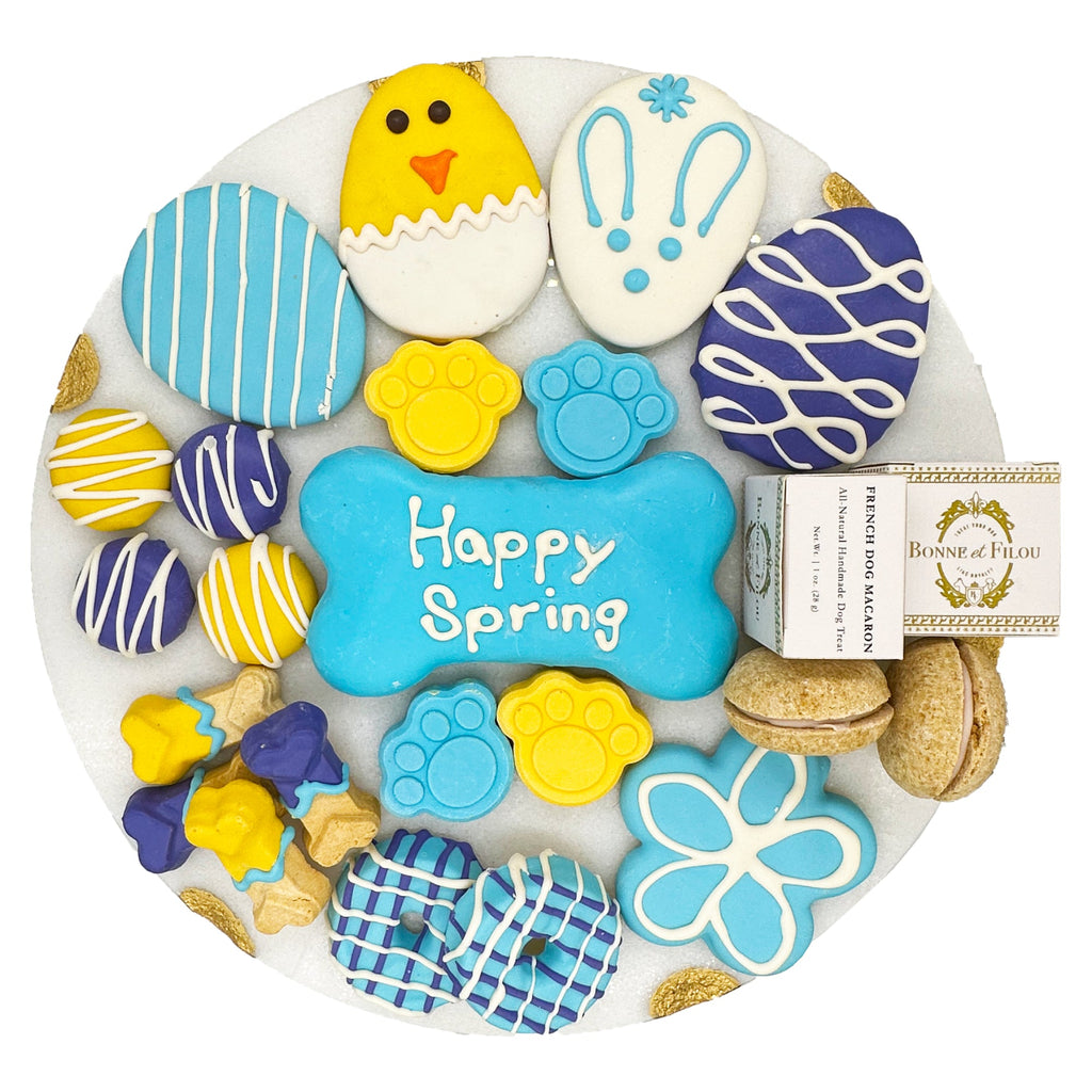 Spring Themed Dog Treats Gift Box by Bonne et Filou