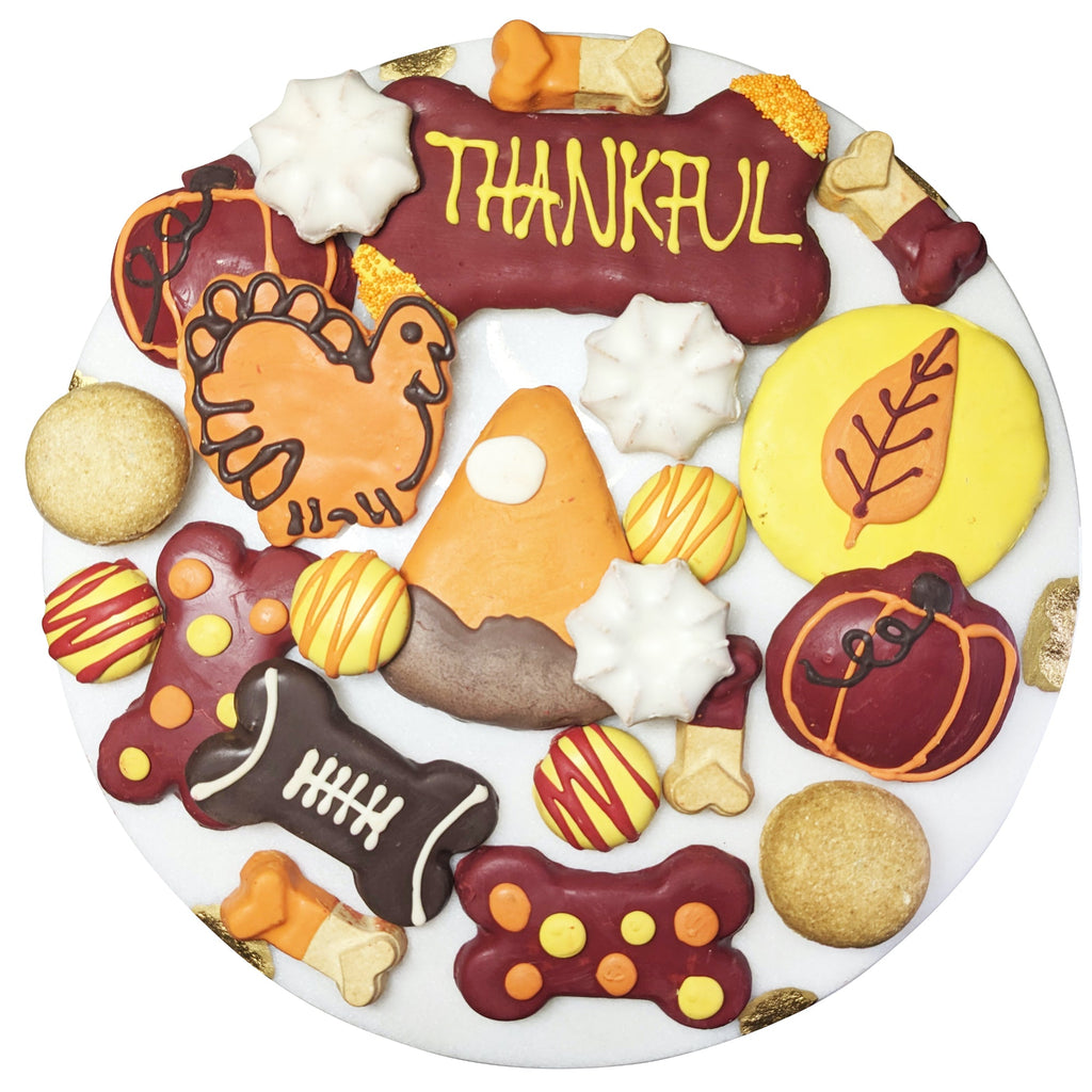 Thankful Themed Dog Treats Gift Box by Bonne et Filou