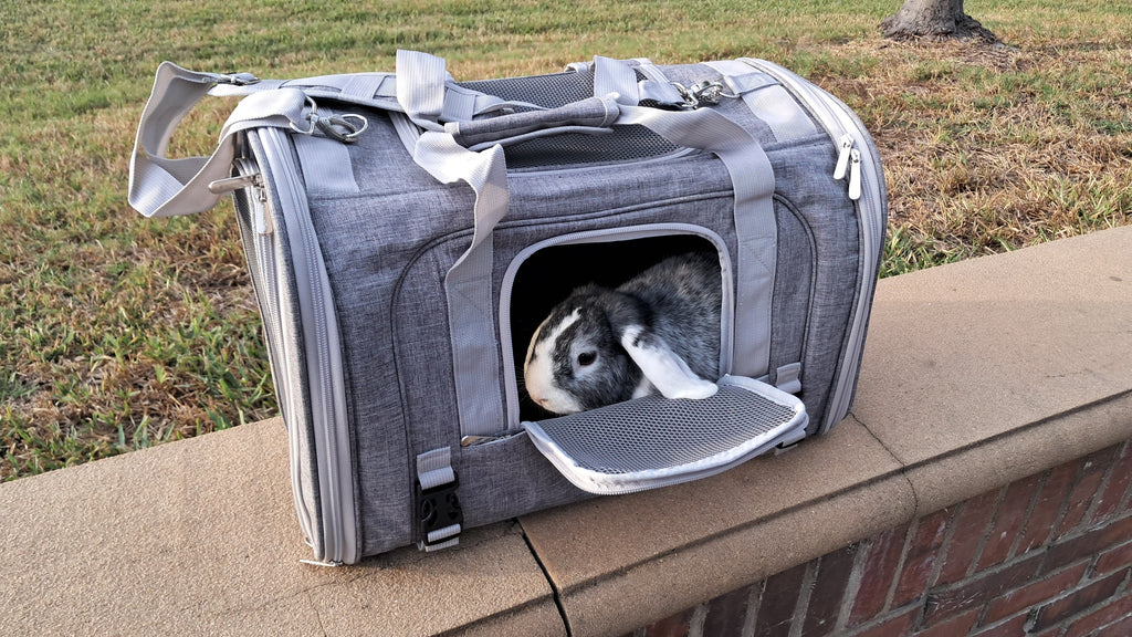 Mr. Peanut's Monterey Series Airline Compliant Horizontal Backpack Pet Carrier by Mr. Peanut's Pet Carriers
