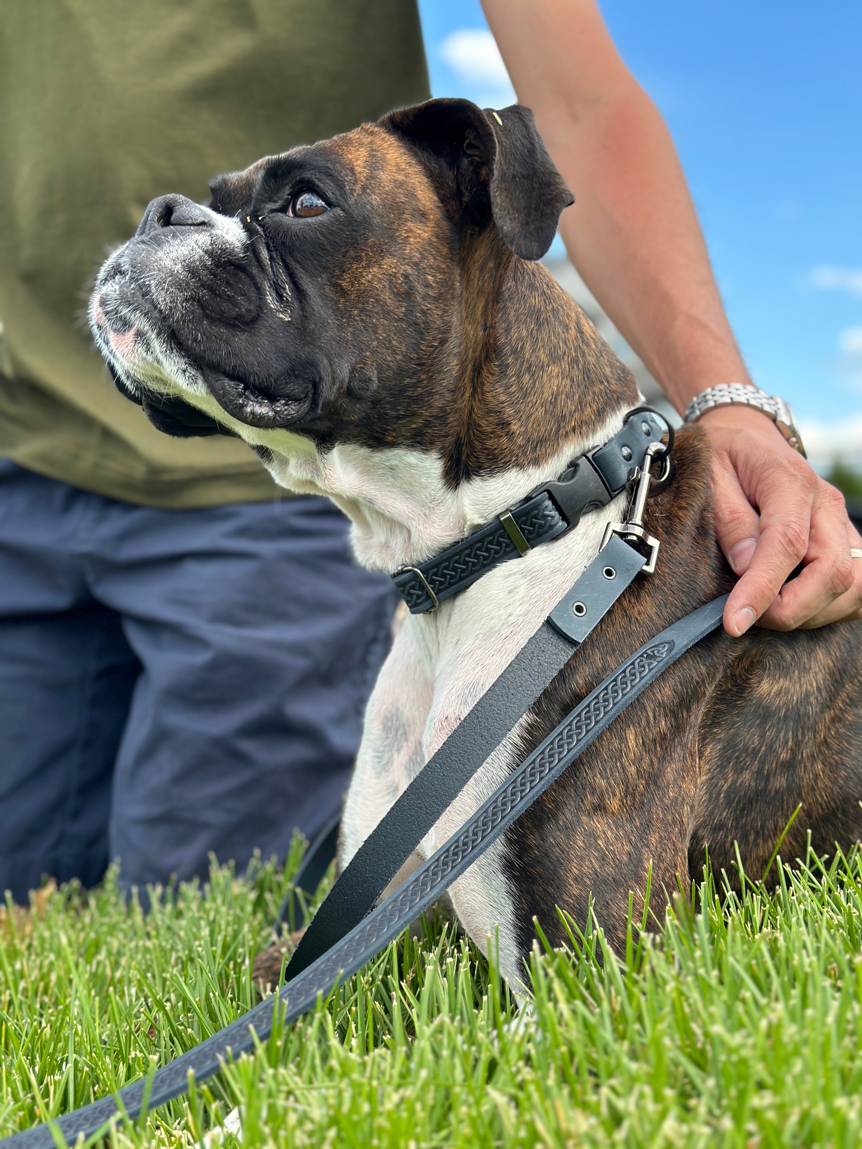 Celtic Sport Blue Jeans Leather Dog Leash by Euro-Dog Collars and Leads