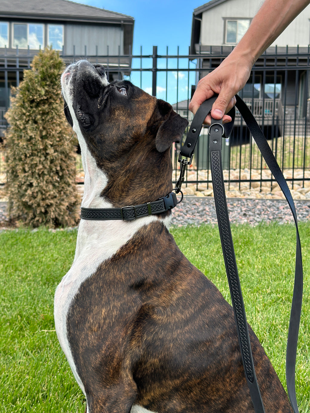 Celtic Sport Midnight Black Leather Dog Leash by Euro-Dog Collars and Leads