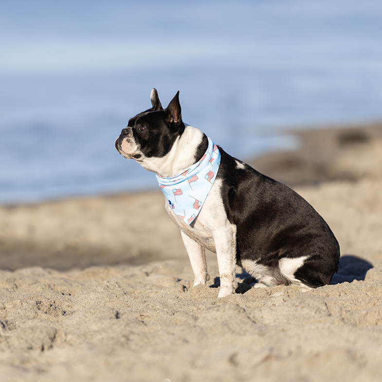 USA Dog Bandana by Dog Bandana Co.