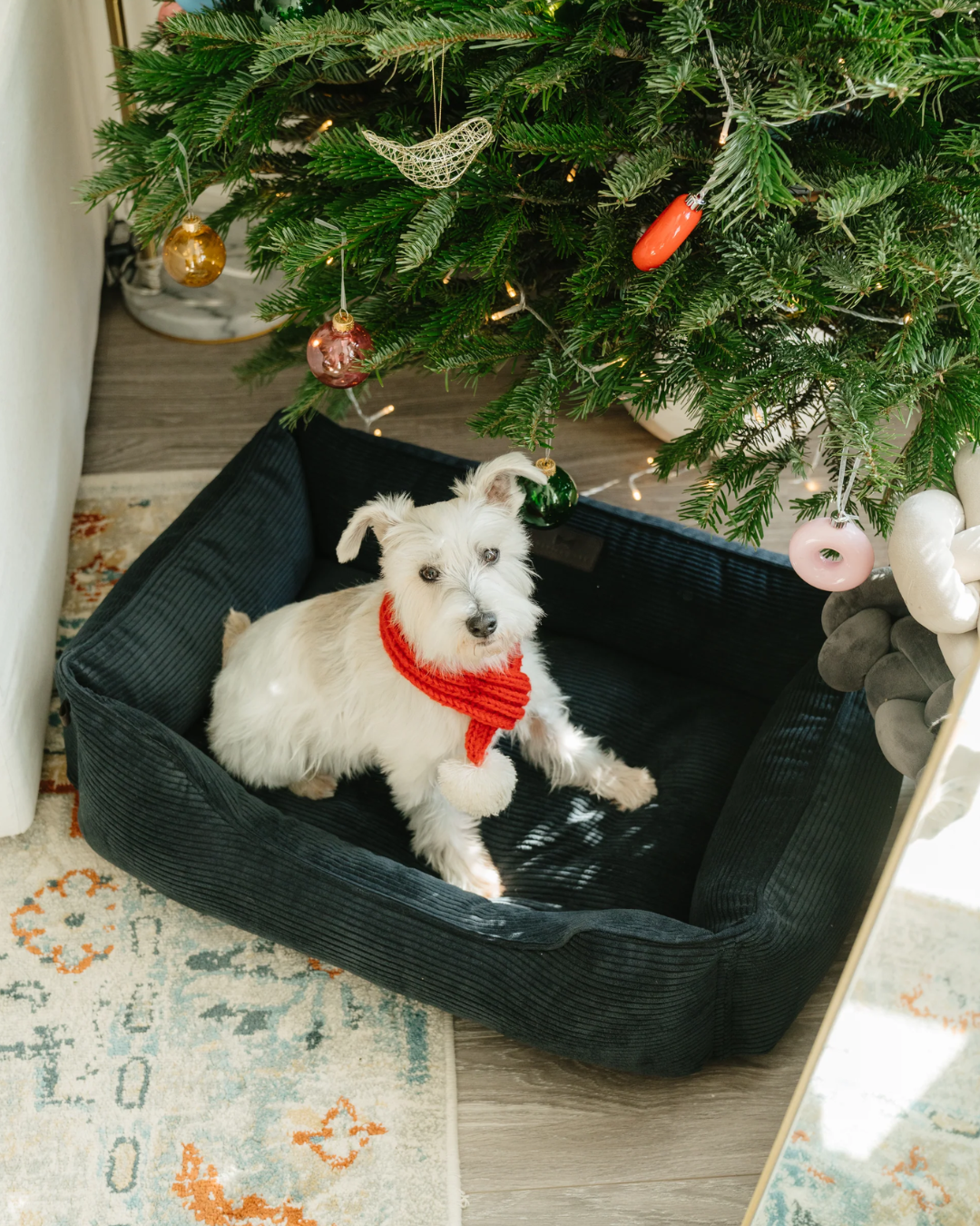 Chester & Lee | Fancy Corduroy Sleeper Dog Bed Graphite by Chester & Lee