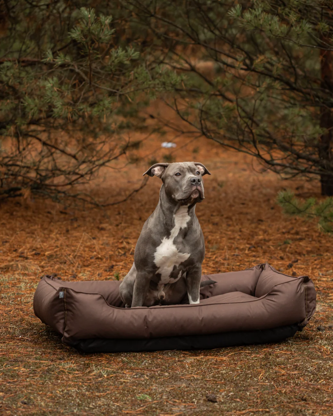 Chester & Lee | Waterproof Sleeper Dog Bed Brown by Chester & Lee