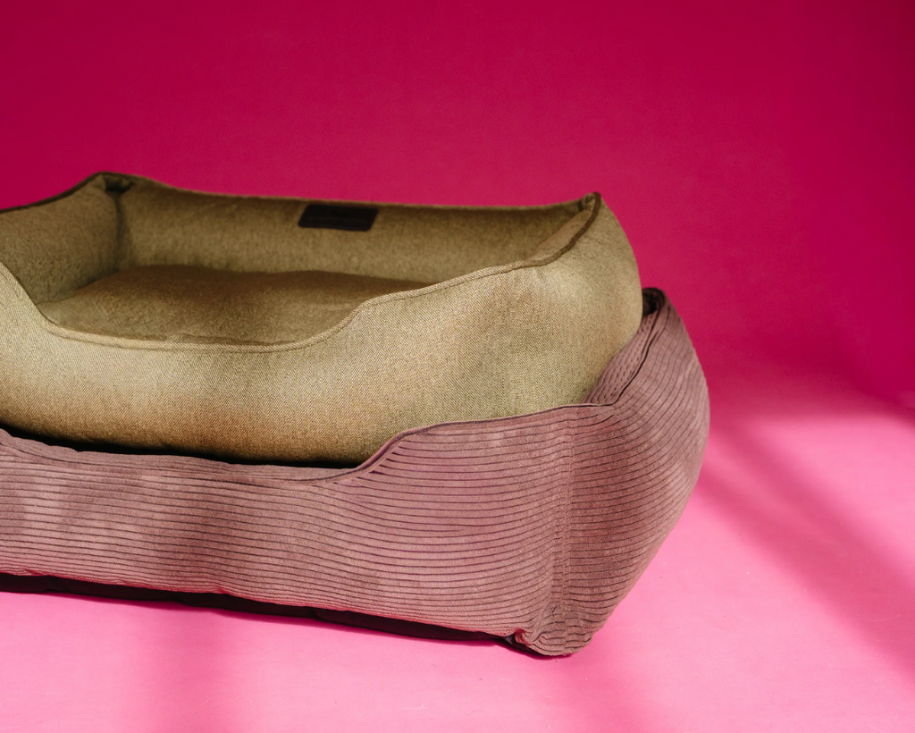 Chester & Lee | Cotton Sleeper Dog Bed Olive by Chester & Lee