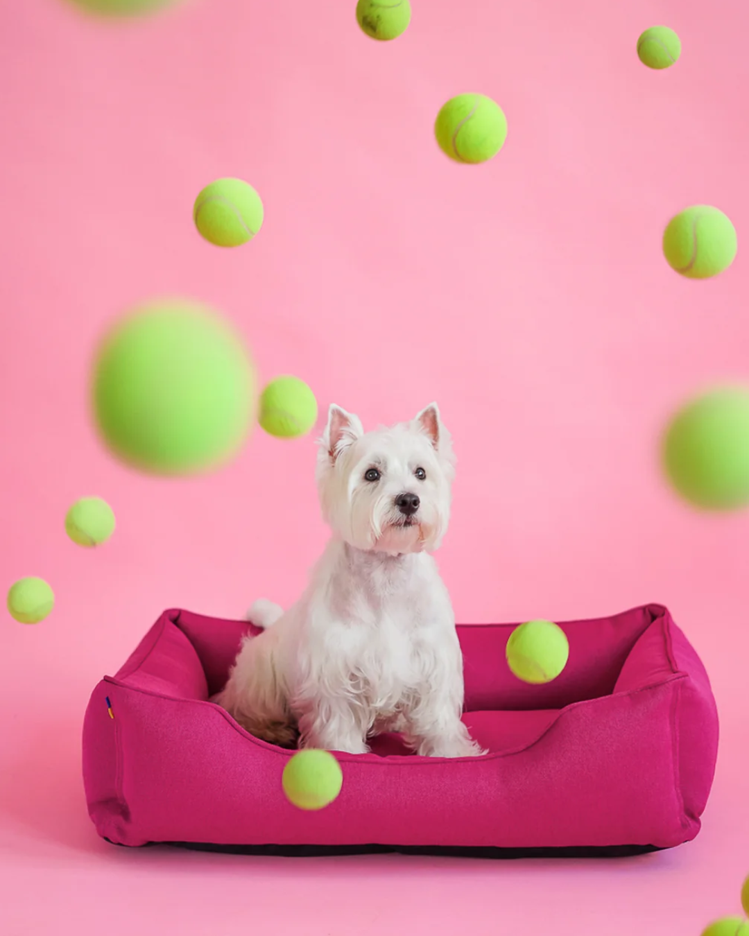Chester & Lee | Cotton Sleeper Dog Bed Berry Pink by Chester & Lee