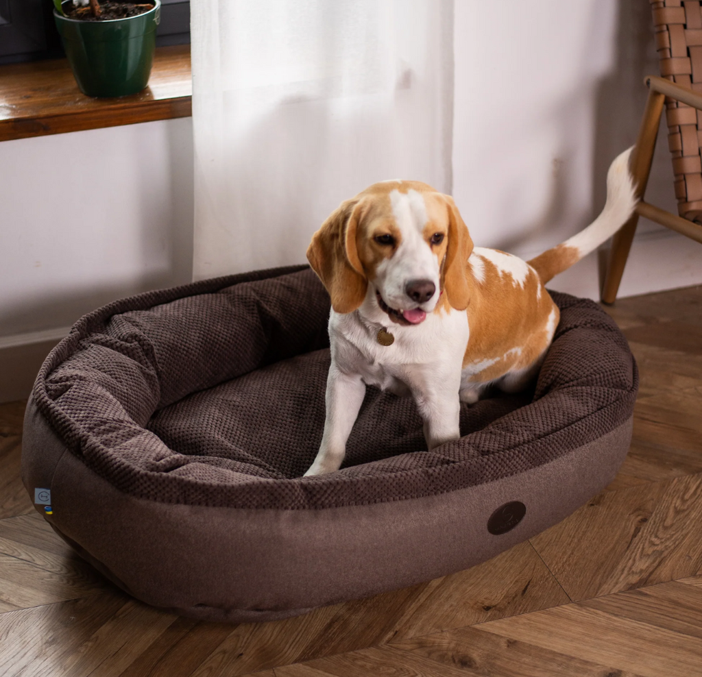Chester & Lee | Cuddly Bagel Dog Bed by Chester & Lee