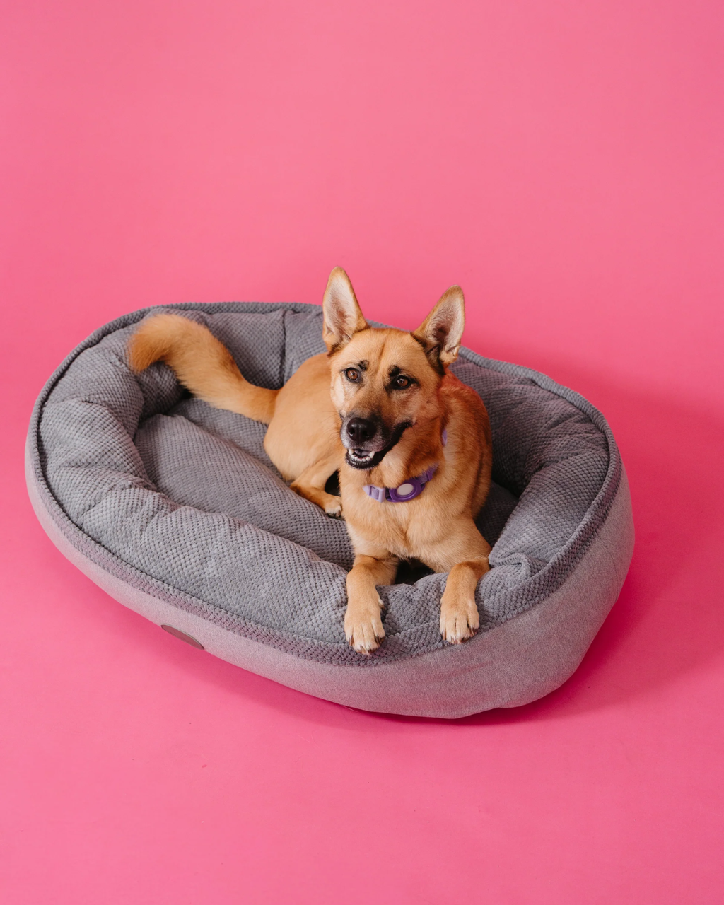 Chester & Lee | Furry Bagel Dog Bed by Chester & Lee