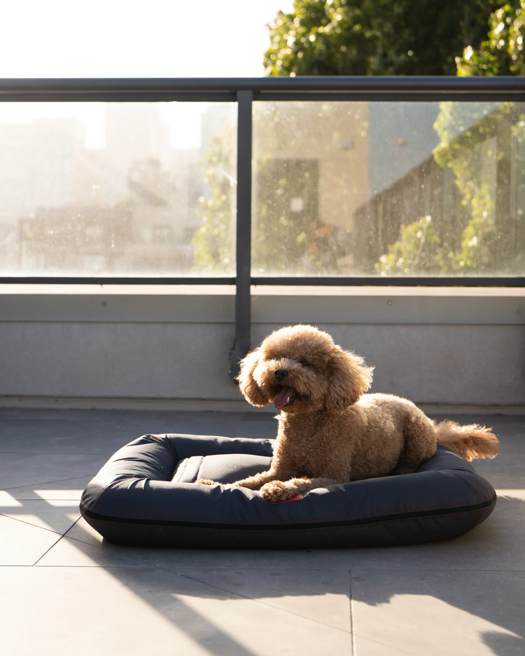 Chester & Lee | Waterproof Lounger Dog Bed Gray by Chester & Lee