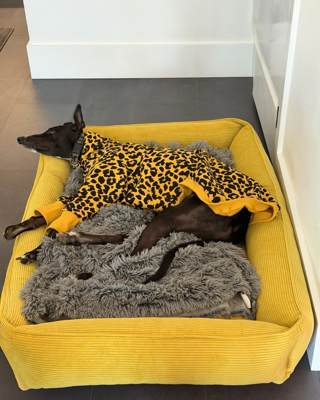 Chester & Lee | Fancy Corduroy Sleeper Dog Bed Sunny Yellow by Chester & Lee