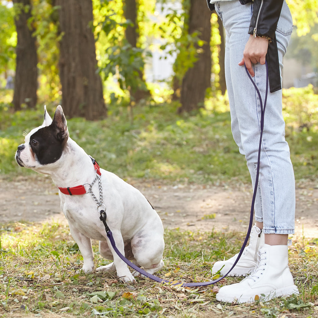 Biothane Waterproof Dog Leash, 4 ft by Dogline