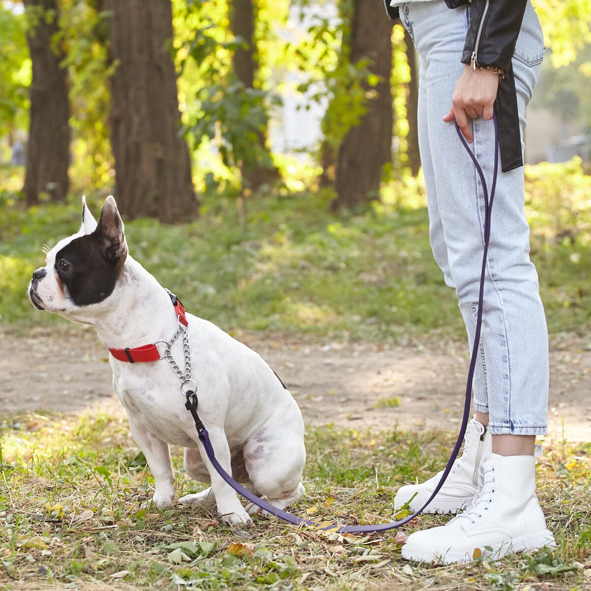 Biothane Waterproof Traffic Lead for Dogs, 2 ft by Dogline