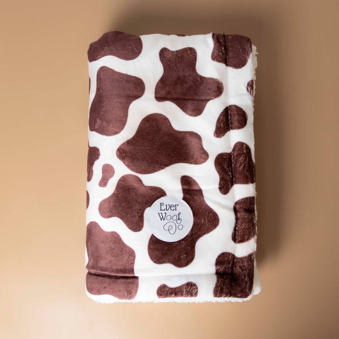 Chocolate Cow Dog Blanket by EverWoof
