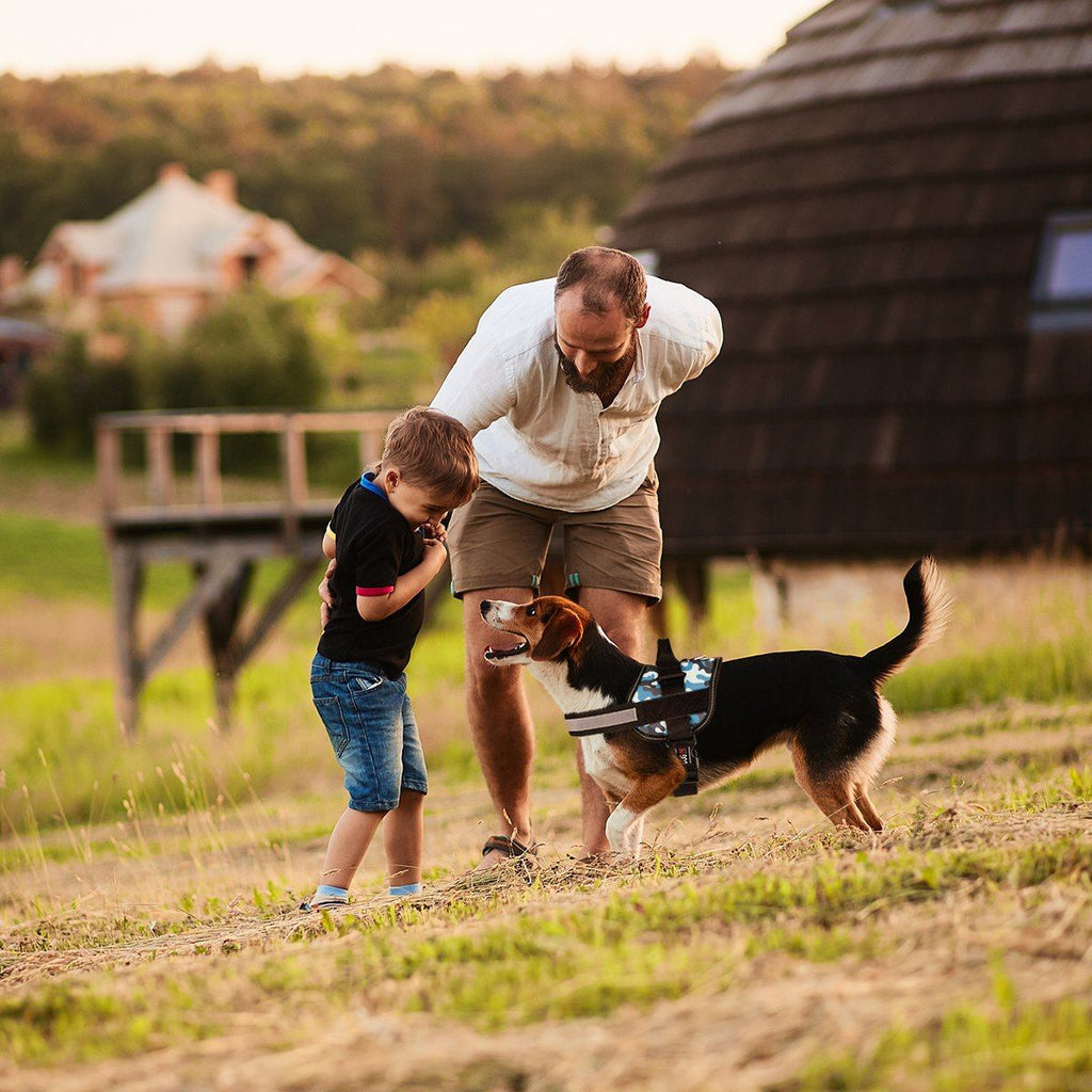 Unimax Multi-Purpose Dog Harness by Dogline