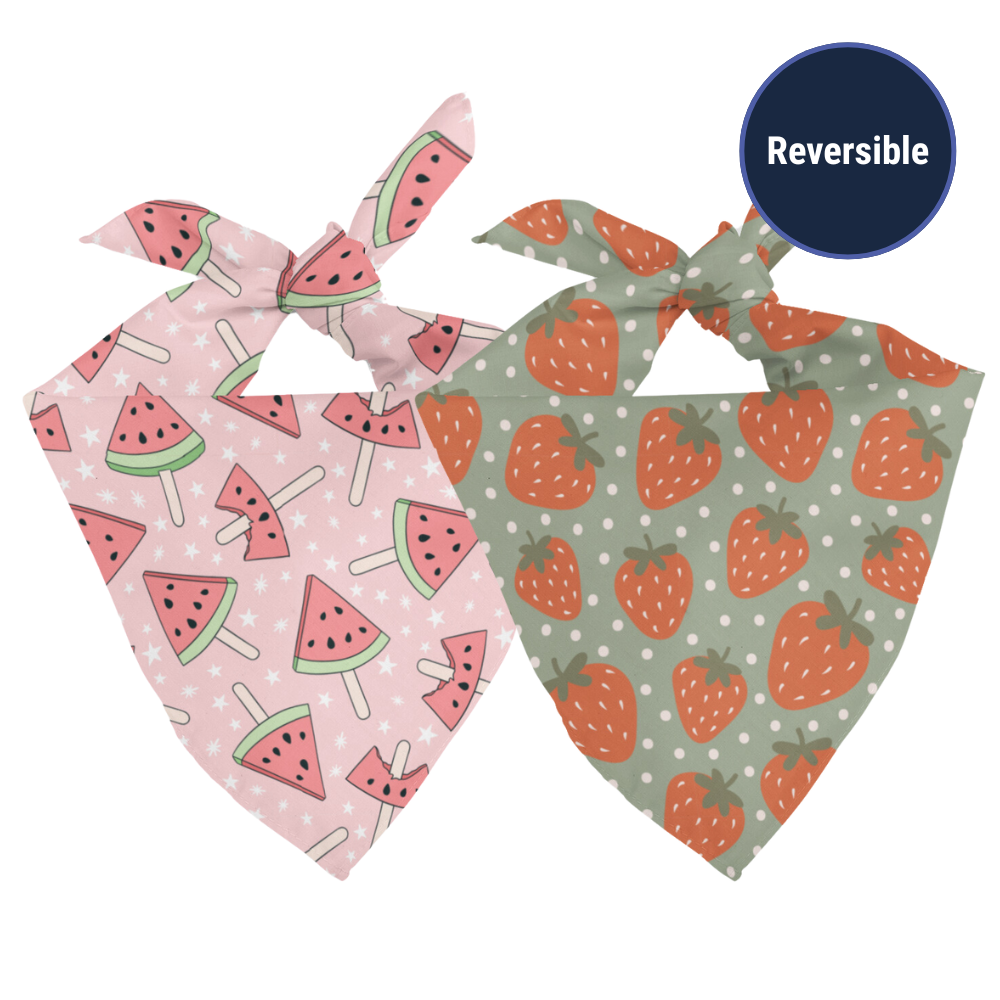 Watermelon & Strawberry Dog Bandana by Dog Bandana Co.
