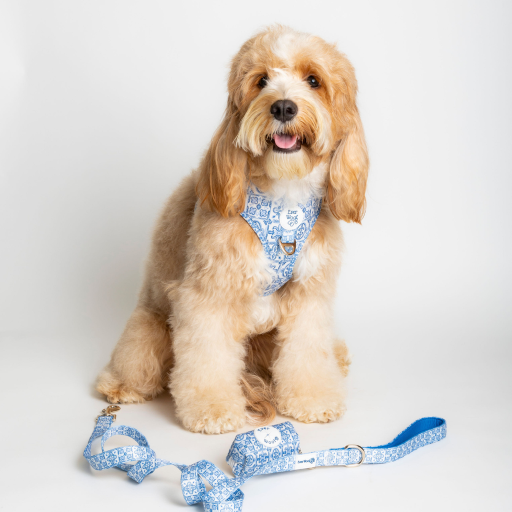 Santorini Adjustable Harness by EverWoof