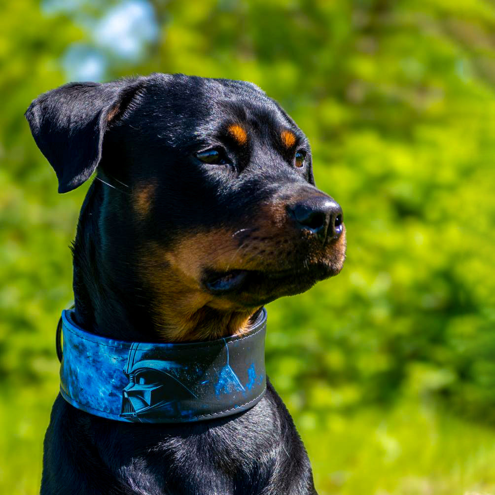 The Darth Force Limited Collar by Bestia Dog Gear