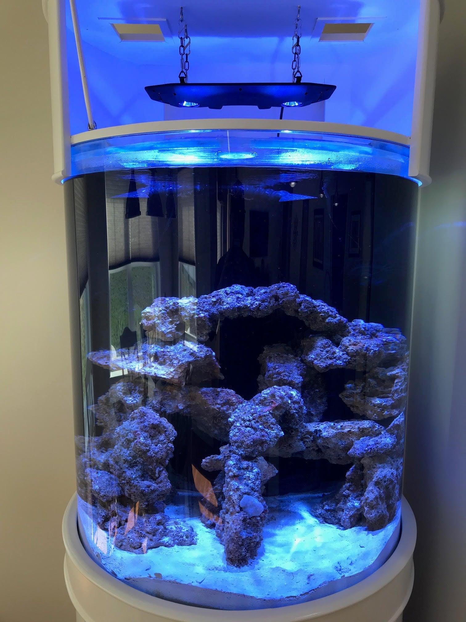 115 Gallon 3/4 Cylinder Glass Reef-Ready Aquarium Set in Tulum White by AQUA VIM