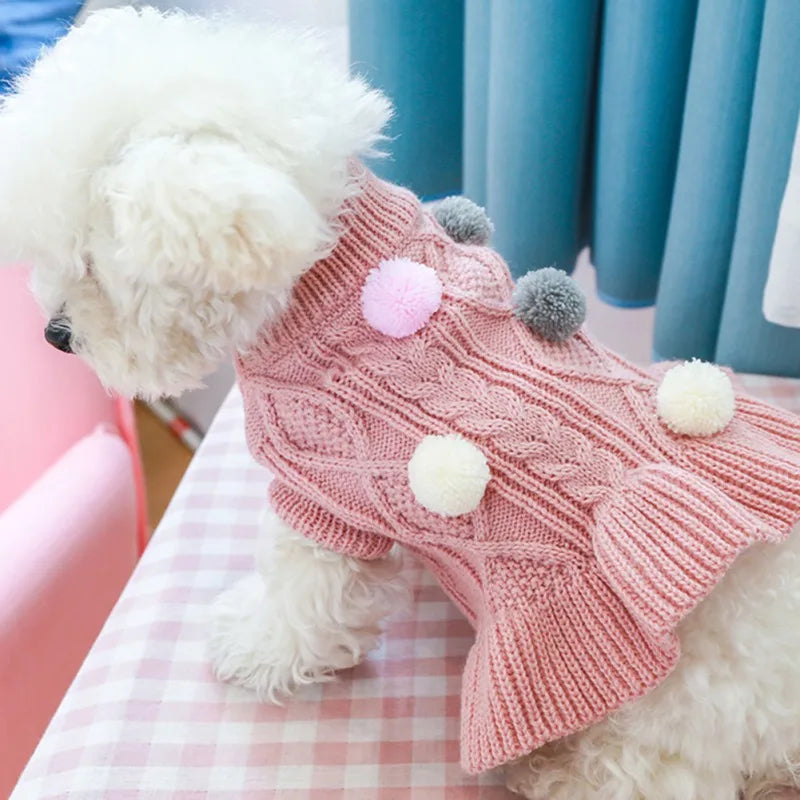 Sweet Pet Knit Sweater Dress