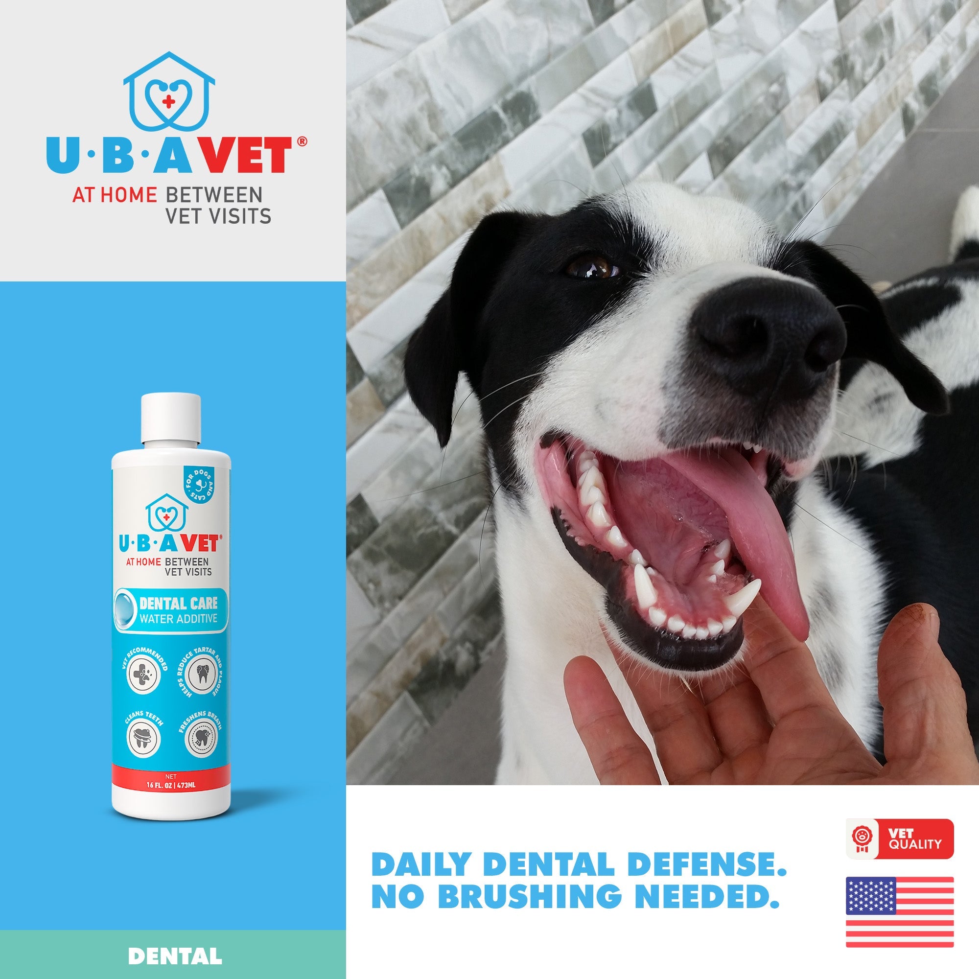 UBAVET Dental Care Water Additive for Dogs & Cats – Odorless & Tasteless Oral Health Solution (16 fl oz / 473 ml) by American Pet Supplies