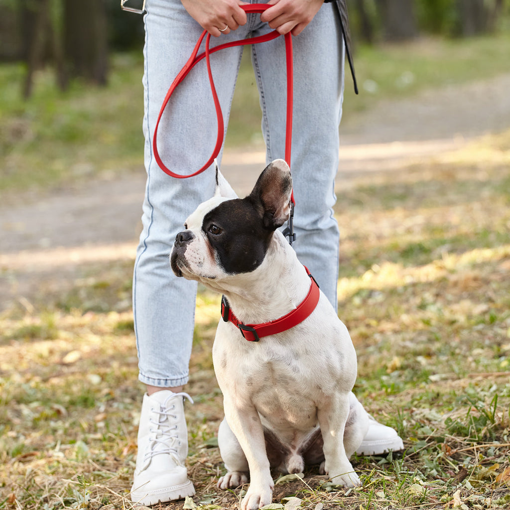 Biothane Waterproof Dog Leash, 4 ft by Dogline