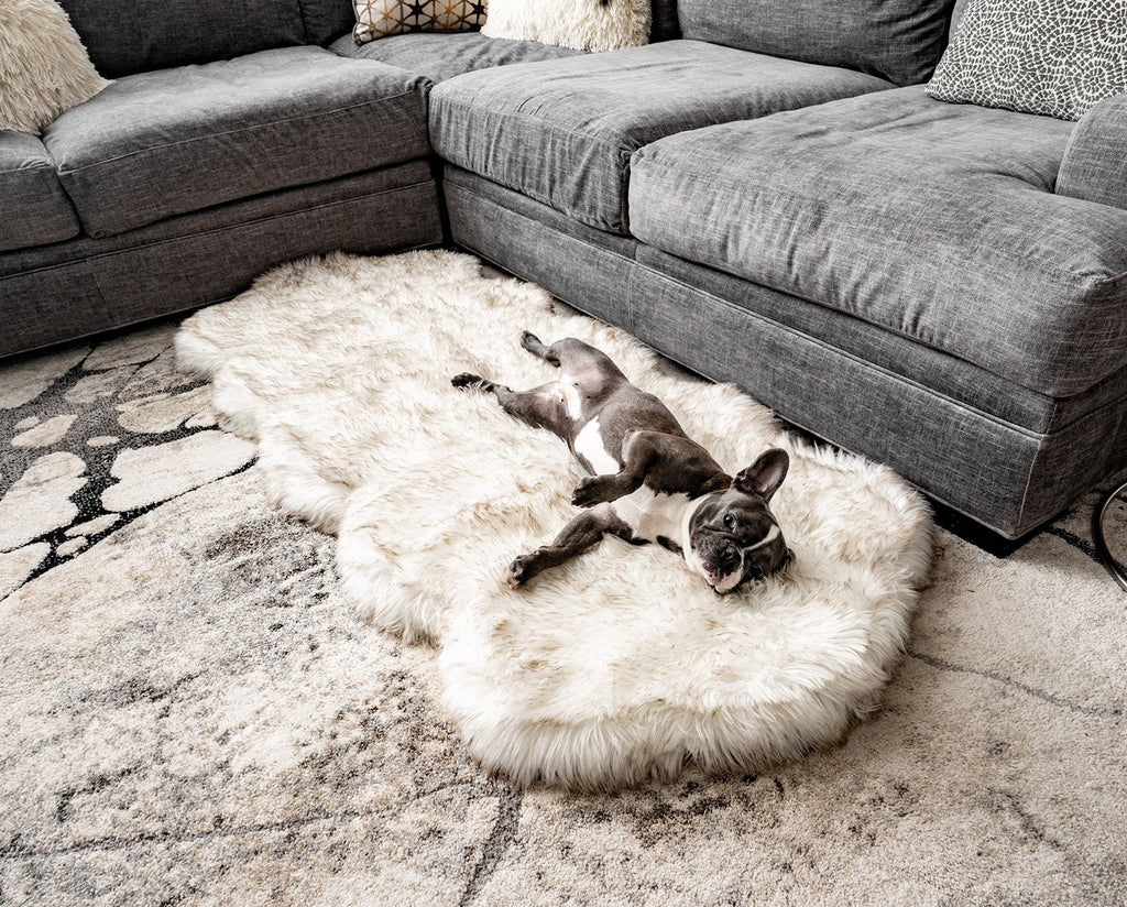PupRug® Runner Faux Fur Memory Foam Dog Bed - Curve White with Brown Accents by Paw.com