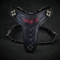 ''Batman'' harness Medium Size by Bestia Dog Gear