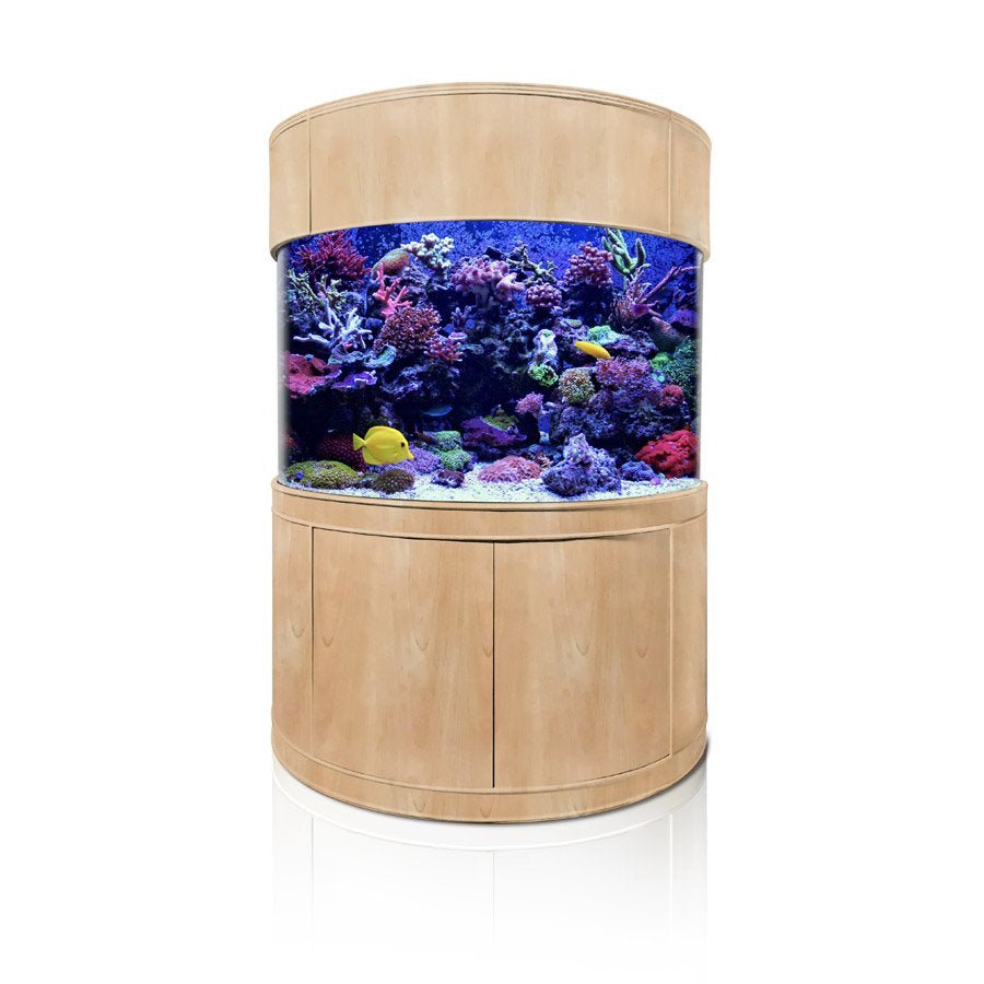 Glass Half Cylinder by AQUA VIM