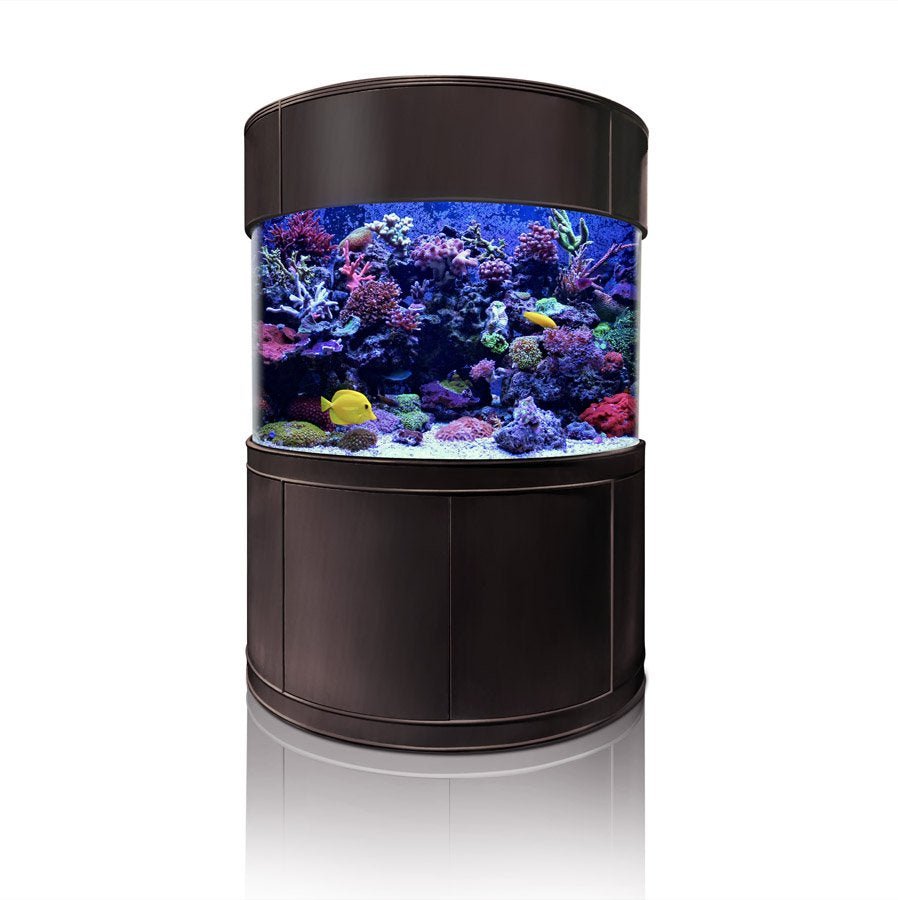 Glass Half Cylinder by AQUA VIM