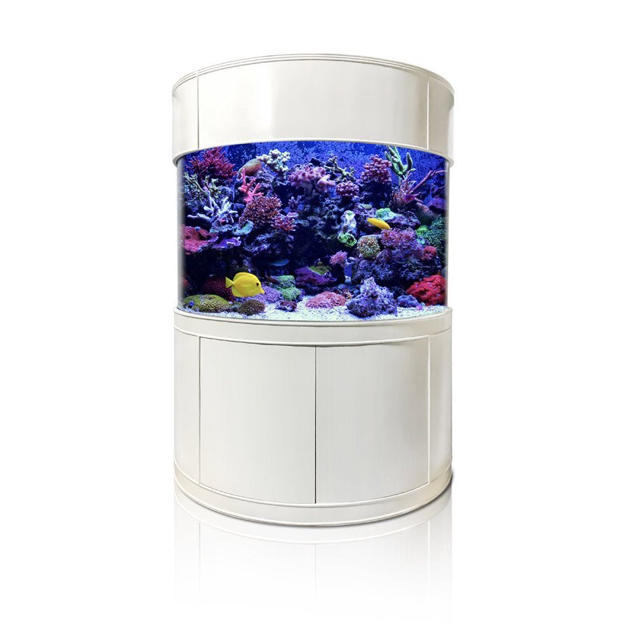Glass Half Cylinder by AQUA VIM