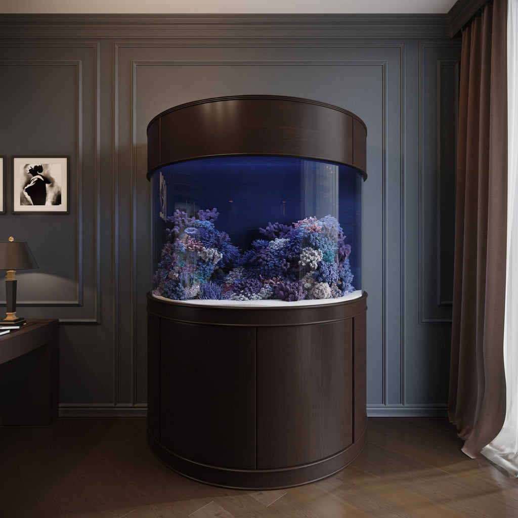 Glass Half Cylinder by AQUA VIM