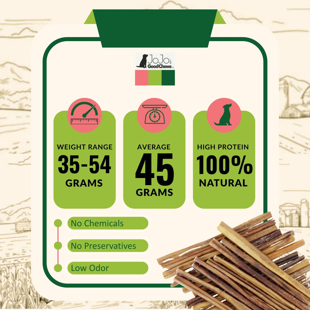 All-Natural Beef Bully Stick Dog Treats – Nutrient-Rich, and High-Protein – 12-Inch Standard (4-Pack) by American Pet Supplies